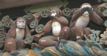 さる さる