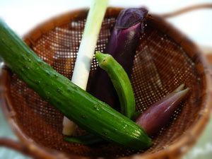 夏野菜 夏野菜