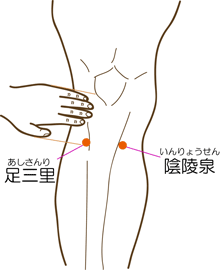胃のツボ 胃のツボ