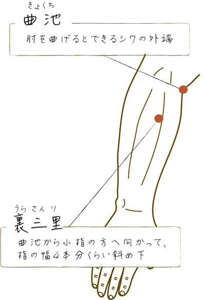 曲池 曲池