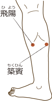 築賓飛陽 築賓飛陽