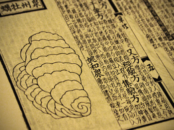 kaki02 本草書 牡蛎