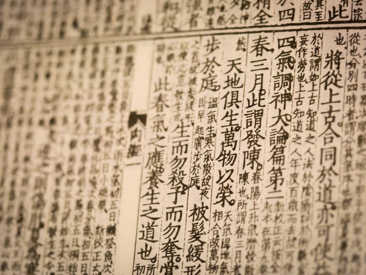 『素問』四気調神大論