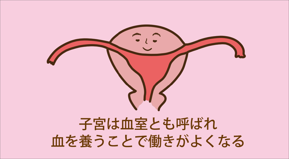 子宮と子宮内膜