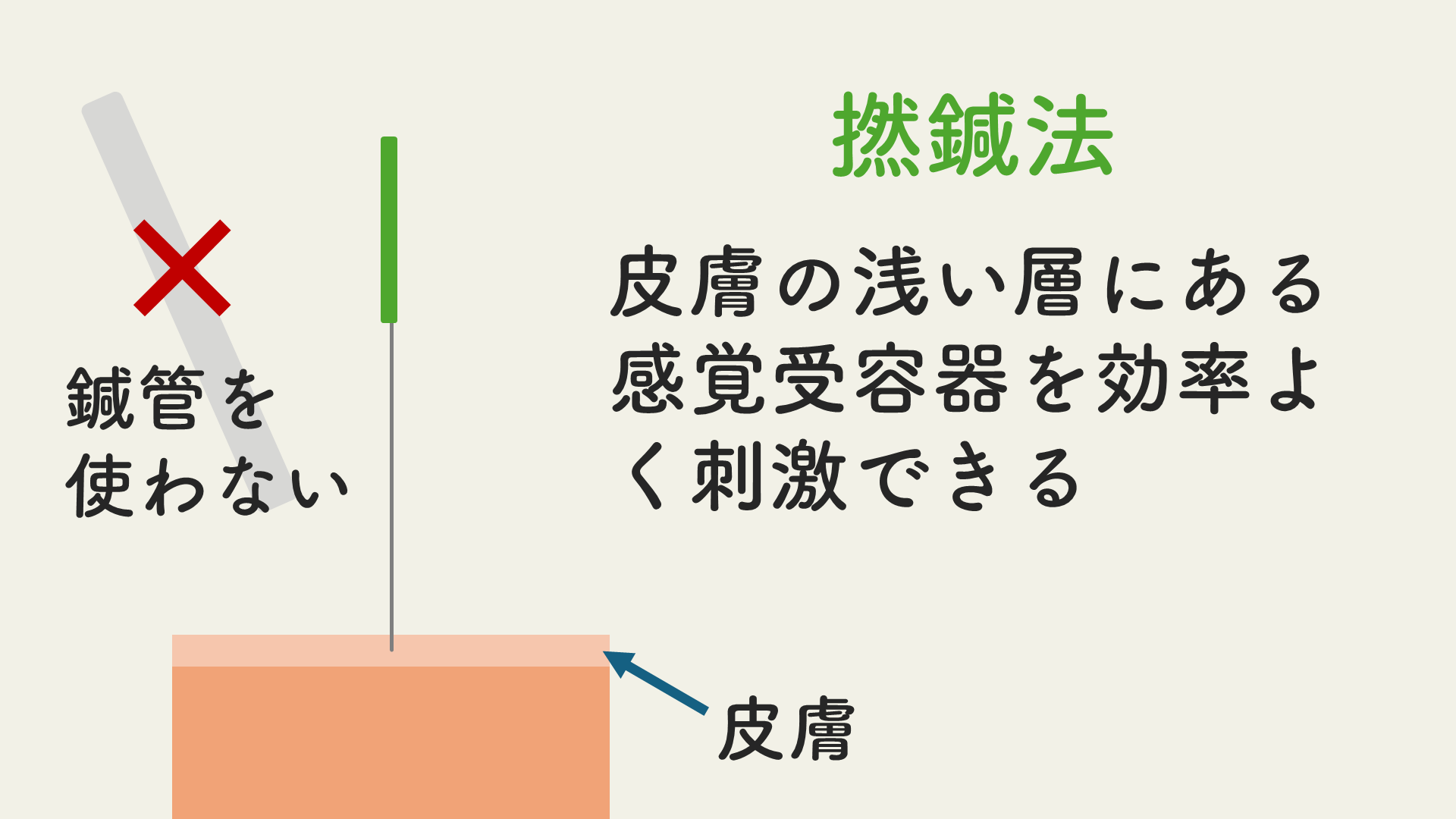 撚鍼法は浅い部分を効率よく刺激できる