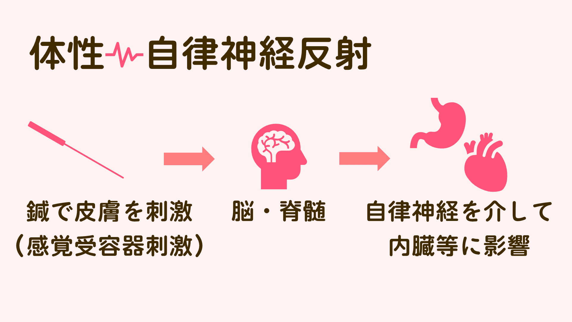 体性-自律神経反射を不妊治療に応用